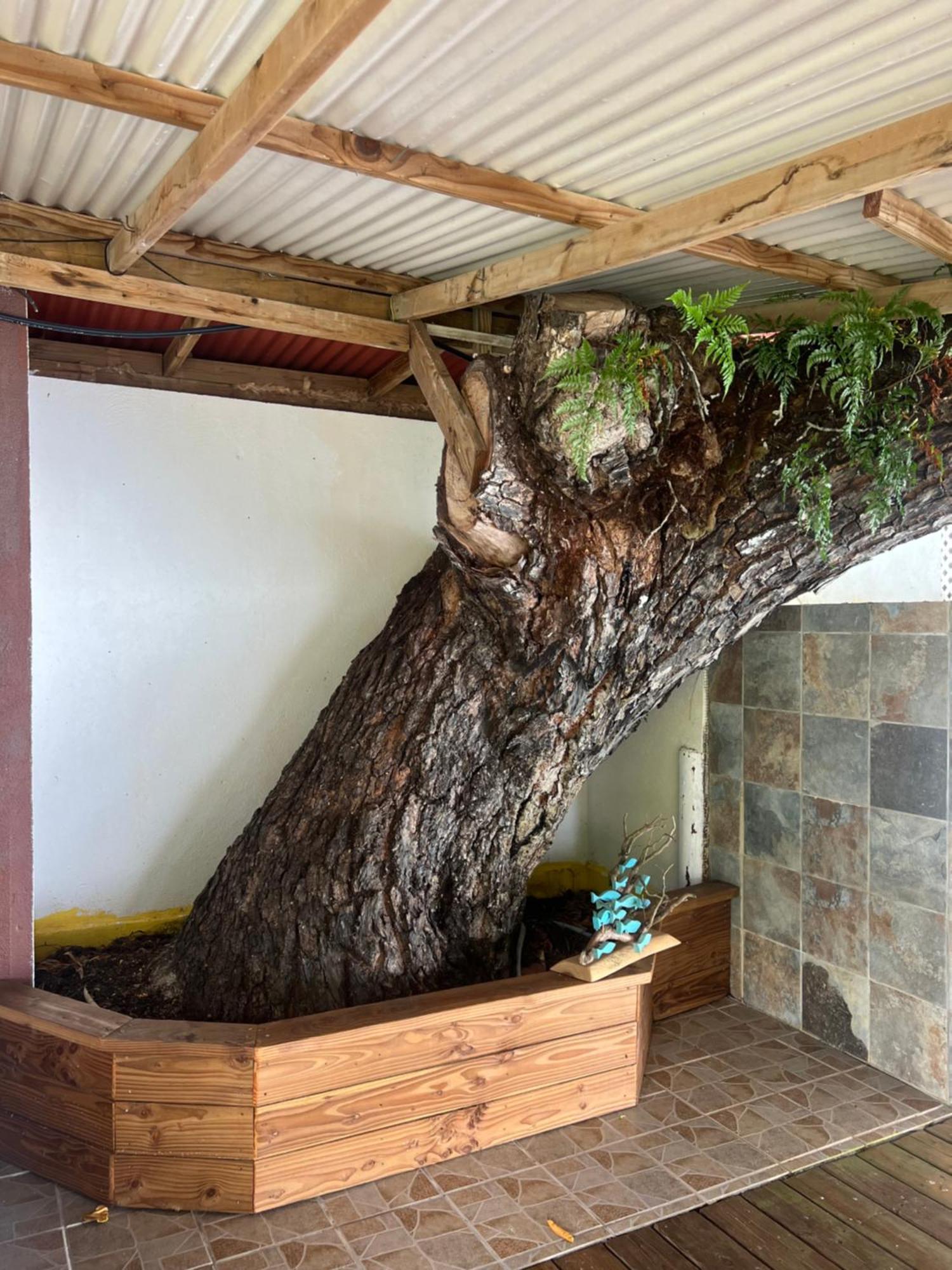 Villa Fare Tetahora Tevaitoa Esterno foto